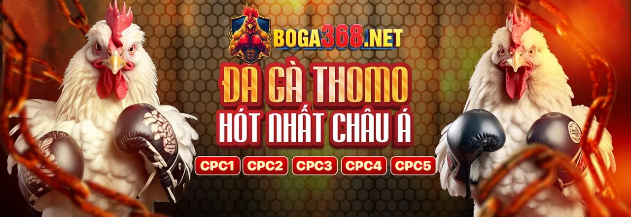 Trận đá gà kịch tính tại Sicbo Tài Phú