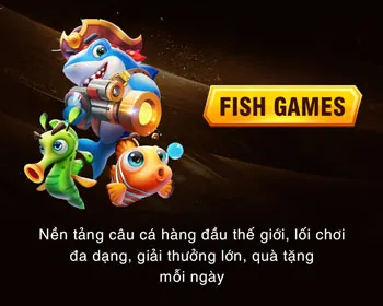Hướng dẫn cài đặt